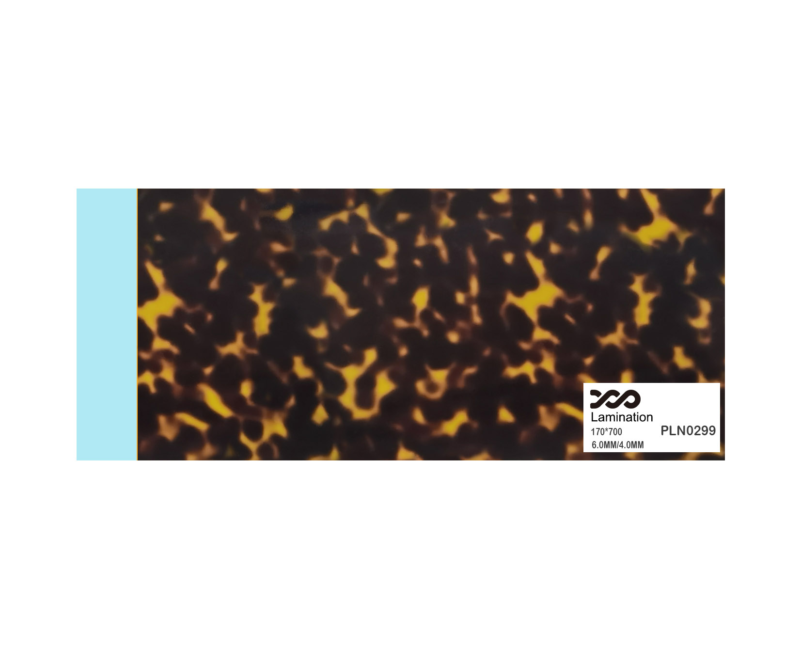 PLN0299